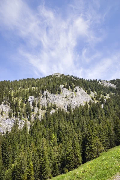 Breitenstein Альпах Баварії — стокове фото