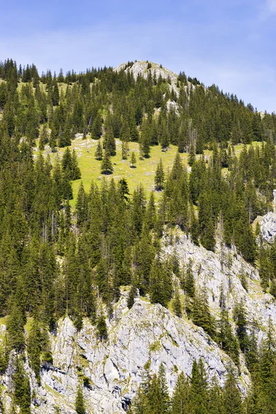布莱巴伐利亚阿尔卑斯山 — 图库照片