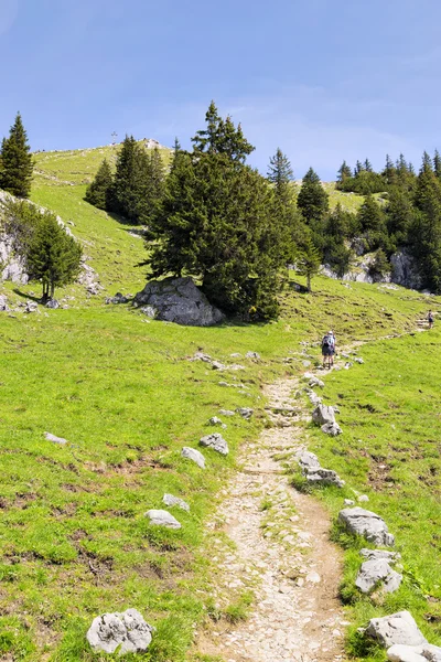 Sökvägen till toppmötet Breitenstein — Stockfoto