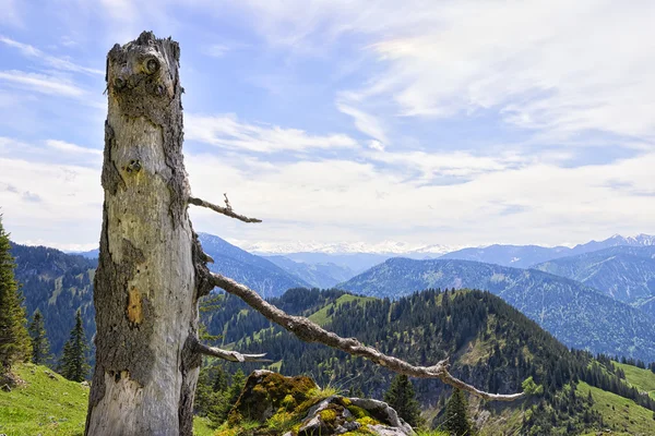 Стовбура Breitenstein Альпах Баварії — стокове фото