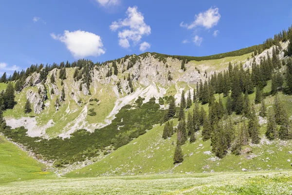 Summit Jaegerkamp Bavaria Alps — Stock Photo, Image