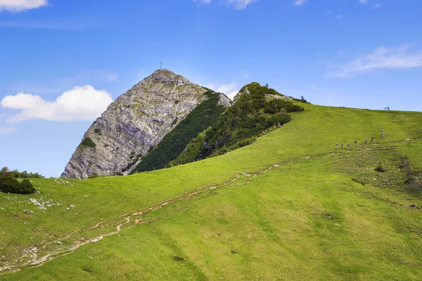 Toppmötet Aiplspitz Bayern Alperna — Stockfoto