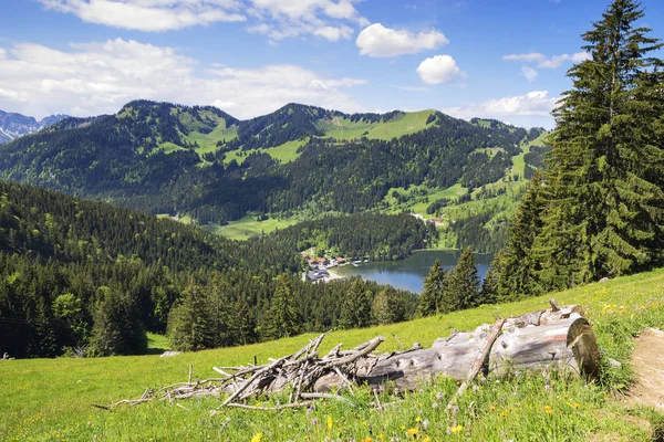 Vista a Spitzingsee nelle Alpi — Foto Stock