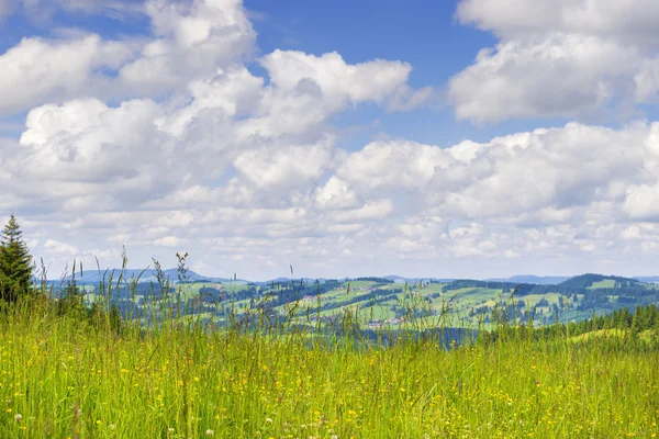 Meadow to Allgaeu — Stockfoto