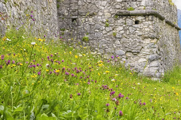 Meadow with castle — Stock Photo, Image