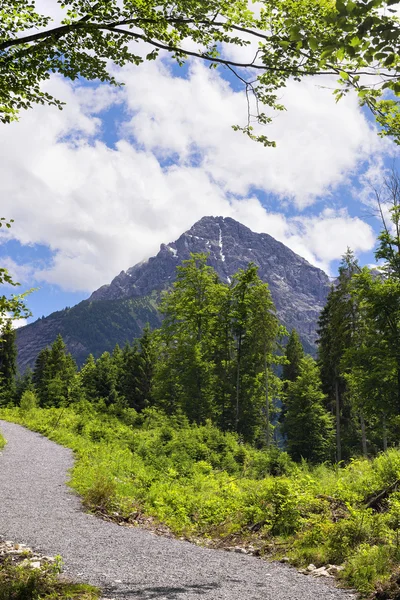 View to summit of Thaneller — Stockfoto