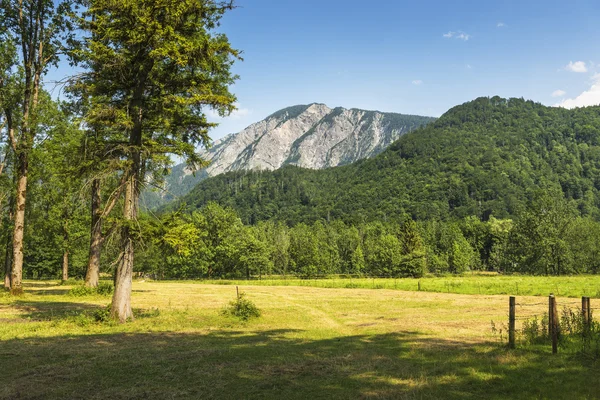 View to Jochberg — Stock Photo, Image