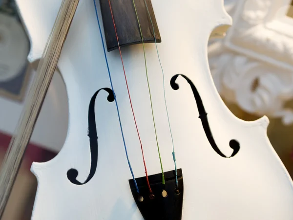 Violino bianco — Foto Stock