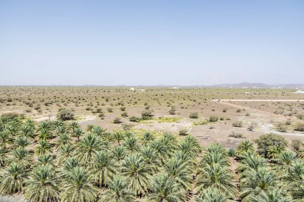 Landscape at jabreen — Stock Photo, Image