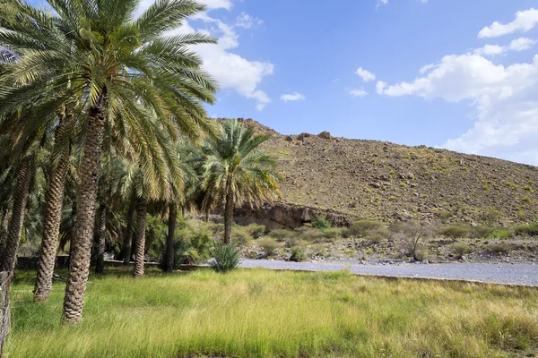 Landscape Oman — Stock Photo, Image
