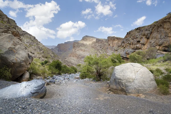 Landscape Oman — Stock Photo, Image