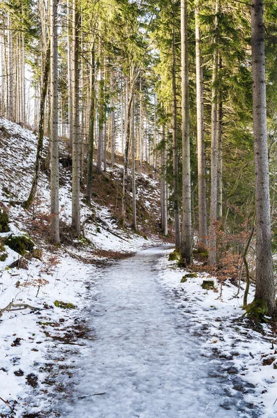 Zmrazené cesta — Stock fotografie