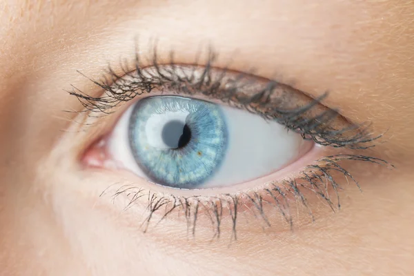 Closeup woman eye — Stock Photo, Image