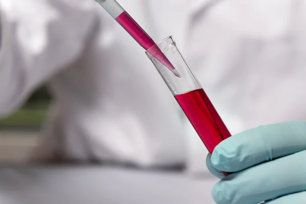 Closeup chemist with red liquid — Stock Photo, Image