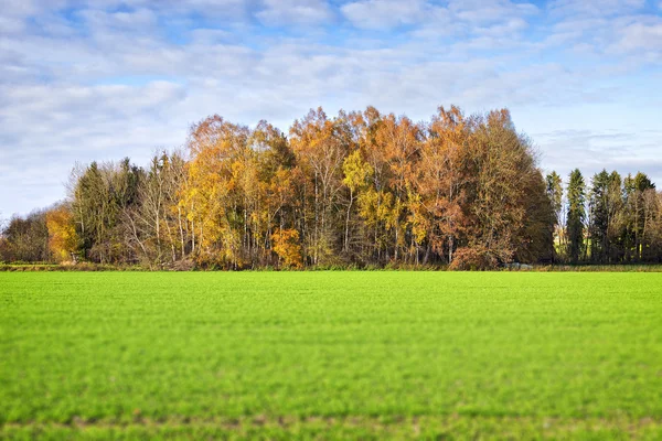 Árvores e campos no outono — Fotografia de Stock