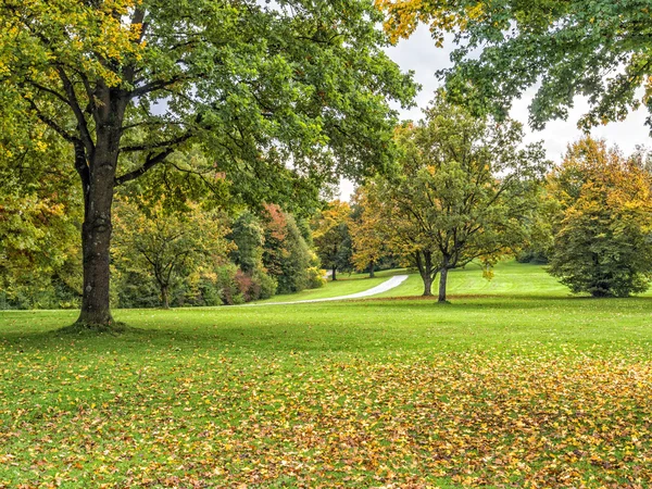 Bomen en weide in de herfst — Stockfoto