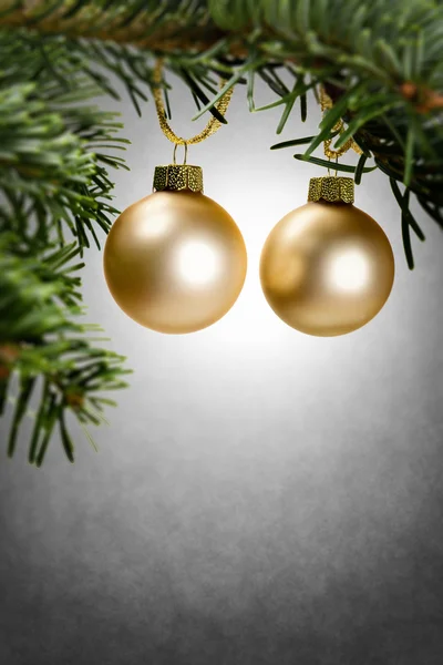 Green branch with christmas decoration — Stock Photo, Image