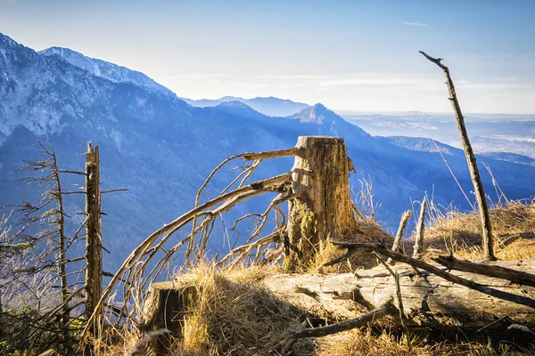 Landscape Bavaria Alps — Stock Photo, Image