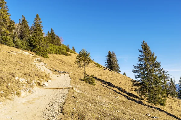 Шлях в Альпах Баварії — стокове фото
