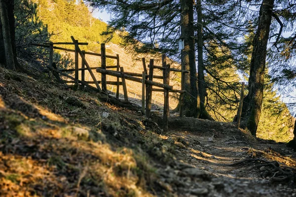 Sökvägen Bayern Alperna — Stockfoto