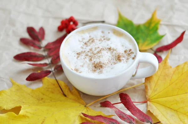 Cup Coffee Milk Leaves Frame — Stock Photo, Image