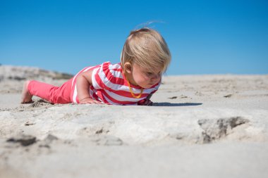 Böceğin hayatı keşfetmek
