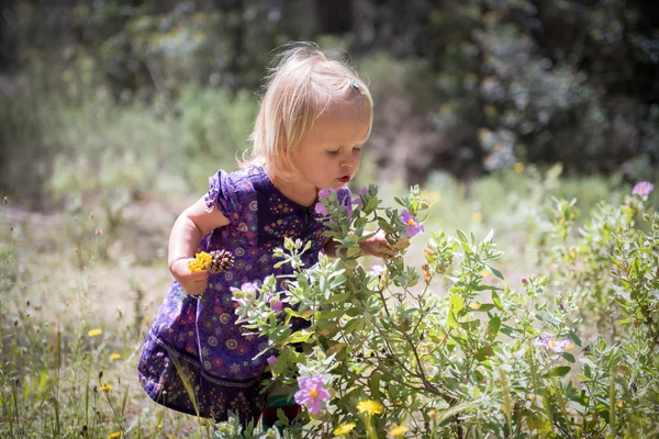 Fete mici mirosind flori — Fotografie, imagine de stoc