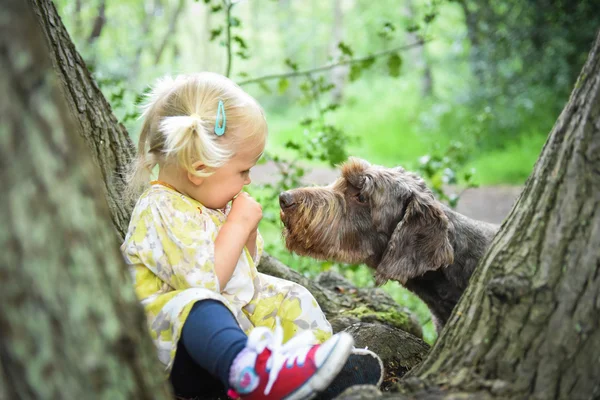Şirin 2-yıl yaşlı kız köpeğiyle oynuyor
