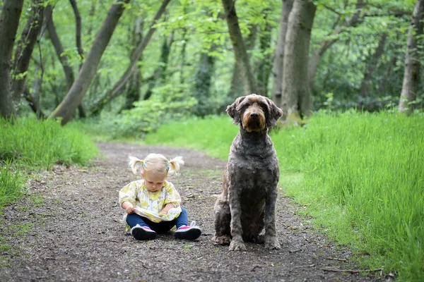 Linda chica de 2 años con su perro Fotos De Stock Sin Royalties Gratis