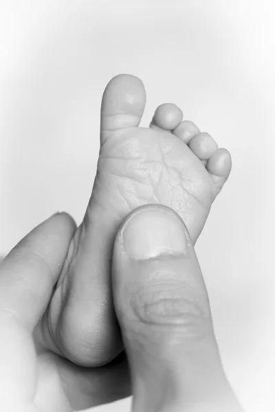 Tiny foot — Stock Photo, Image