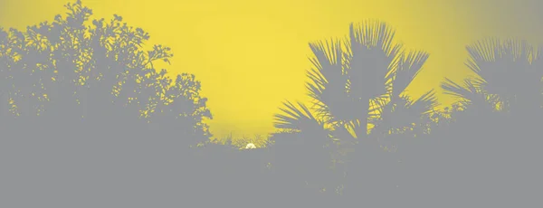 Hermoso cielo de puesta de sol ardiente en la playa. Visualización colores de moda del año 2021 - Gris y amarillo. — Foto de Stock