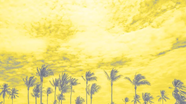 Palmera tropical silueta con cielo con nubes en el fondo. Visualización colores de moda del año 2021 - Gris y amarillo — Foto de Stock