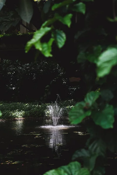 Маленький фонтан в пруду в зелени — стоковое фото
