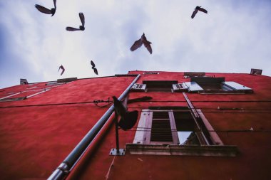 Güvercinler eski kasabadaki eski kırmızı evin ön cephesinde uçarlar. Rovinj, Hırvatistan