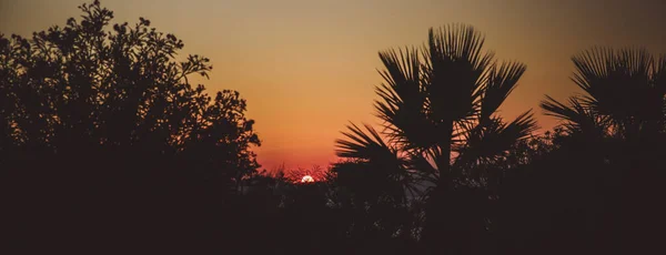 Prachtige vurige zonsondergang hemel op het strand — Stockfoto