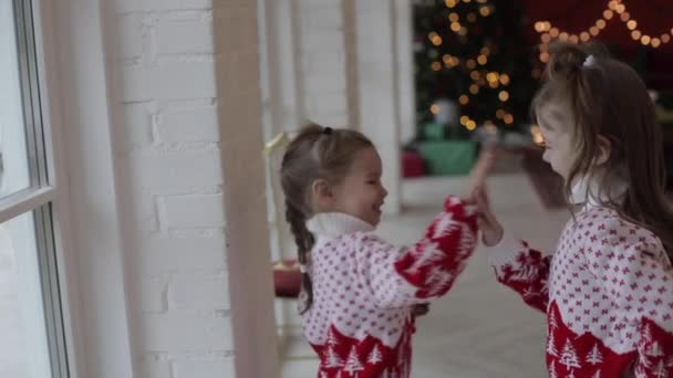 Sœurs mignonnes applaudissent leurs mains et sourient ensemble — Video