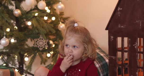 Rozkošné dítě jíst sladkosti na Štědrý večer a baví — Stock video
