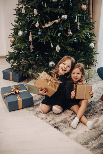 Дві красиві сестри радіють разом Різдвяна ялинка — стокове фото