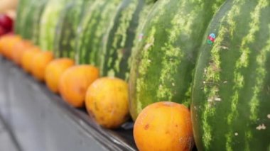 Büyük sulu yeşil karpuzların videosu tezgahın üzerinde duruyor, portakalların arasında.