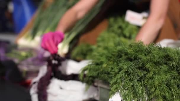 Verduras frescas de hojas ecológicas disponibles para la venta — Vídeo de stock