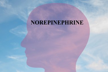 Norepinephrine concept illustration clipart