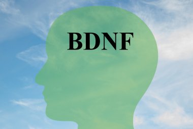 BDNF concept illustration clipart