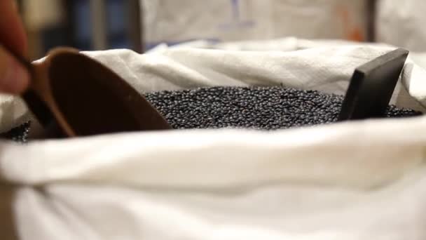 Large bag with black lentils — Stock Video