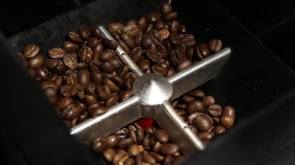 コーヒー豆商業グラインダー — ストック動画