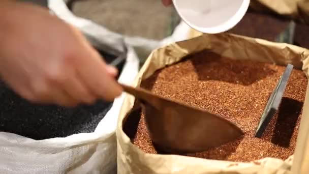 Compra de sementes de quinoa vermelha no mercado — Vídeo de Stock