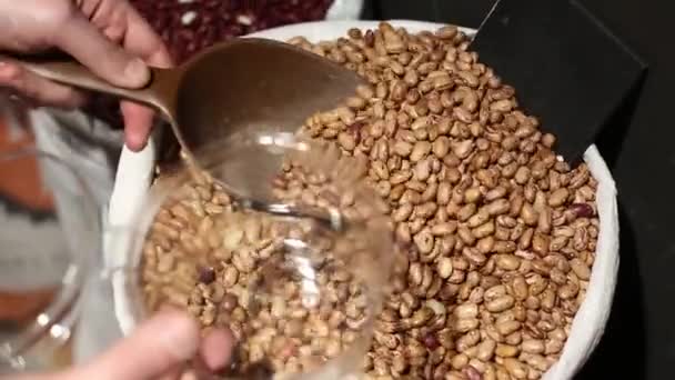 Nákup Pinto beanswith zvuku — Stock video