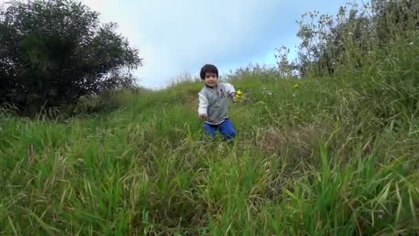 Αγόρι τρέχει στην άγρια φύση — Αρχείο Βίντεο