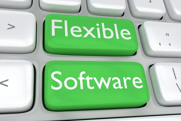 Flexibele Software concept — Stockfoto