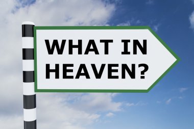 Cennet bu da ne? kavramı