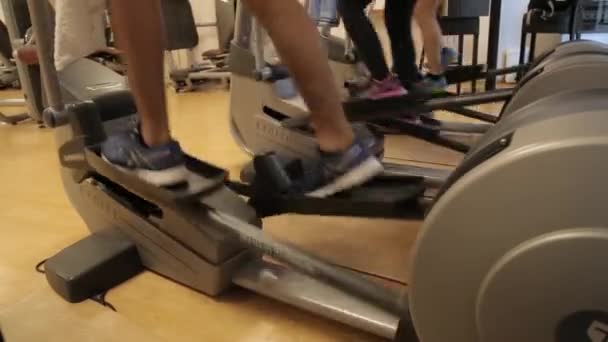 People workout on elliptical trainer machines — Stock Video